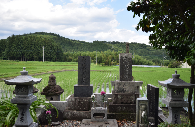 墓じまいの心配不要